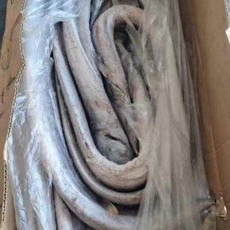 盘带一吨起批全国各地发均可冷连直达