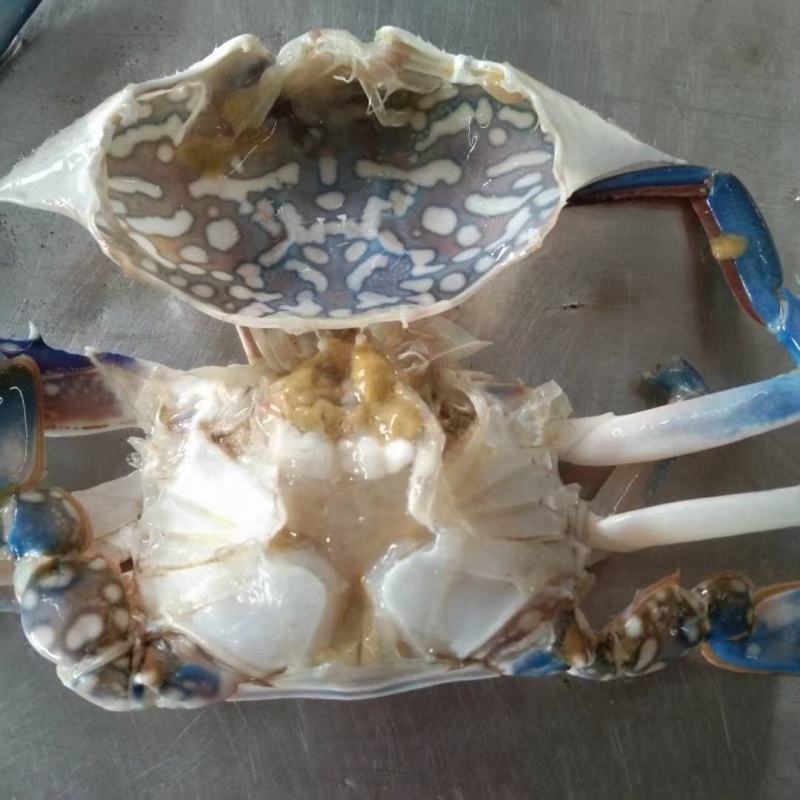 精品蓝花蟹.冻（实力工厂）产地直销货源充足欢迎选购