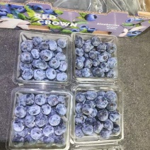 精品蓝莓12盒装规格14-18+A级重量