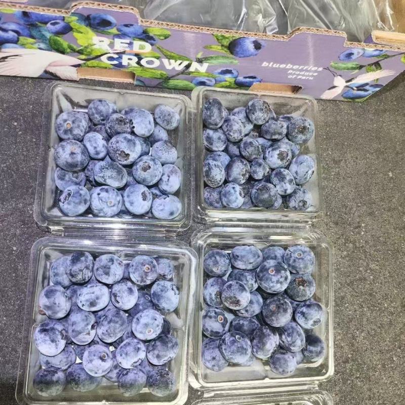 精品蓝莓12盒装规格14-18+A级重量