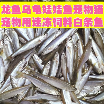 开肚餐条小白条小刁子鱼