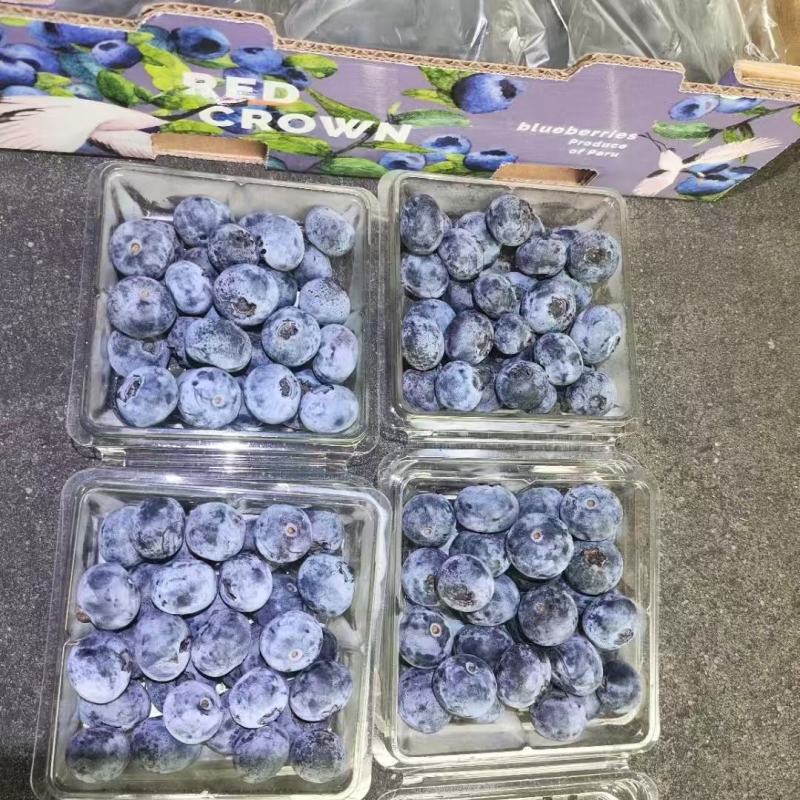 精品蓝莓12盒装规格14-18+A级重量