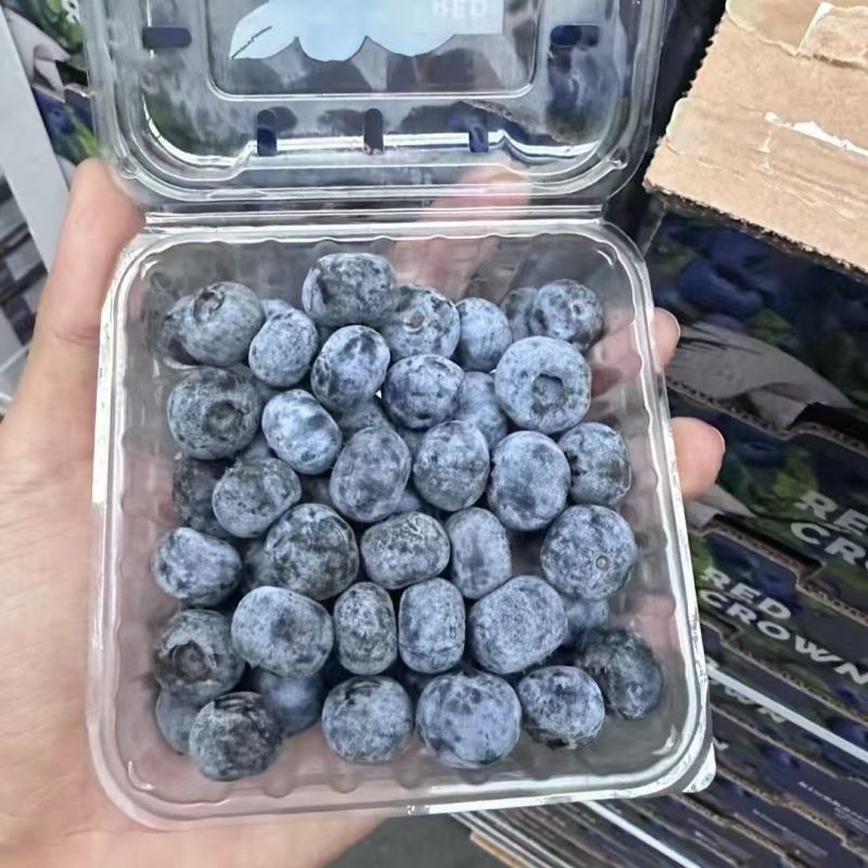 精品蓝莓12盒装规格14-18+A级重量