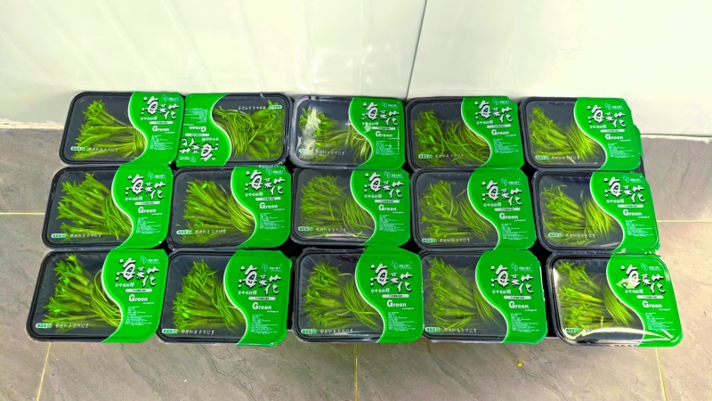 大理洱源海菜花、基地直发一手货源