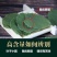 淫羊藿正宗甘肃淫羊藿包全检纯野整颗都有