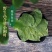 淫羊藿正宗甘肃淫羊藿包全检纯野整颗都有