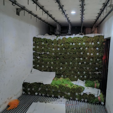 韭菜精品，价格降了，大量现货！