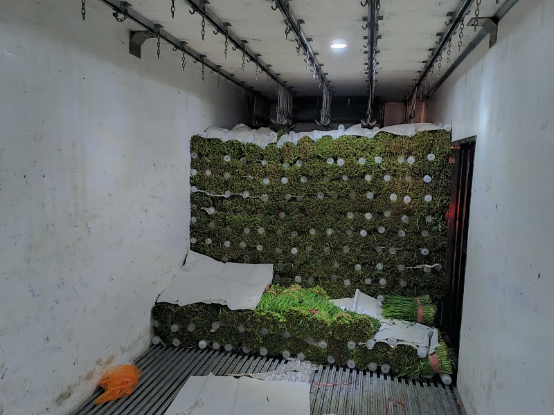 韭菜精品，价格降了，大量现货！