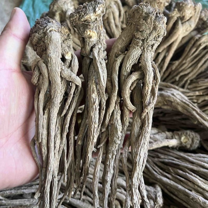 当归十支归成品，人工修剪，精品货