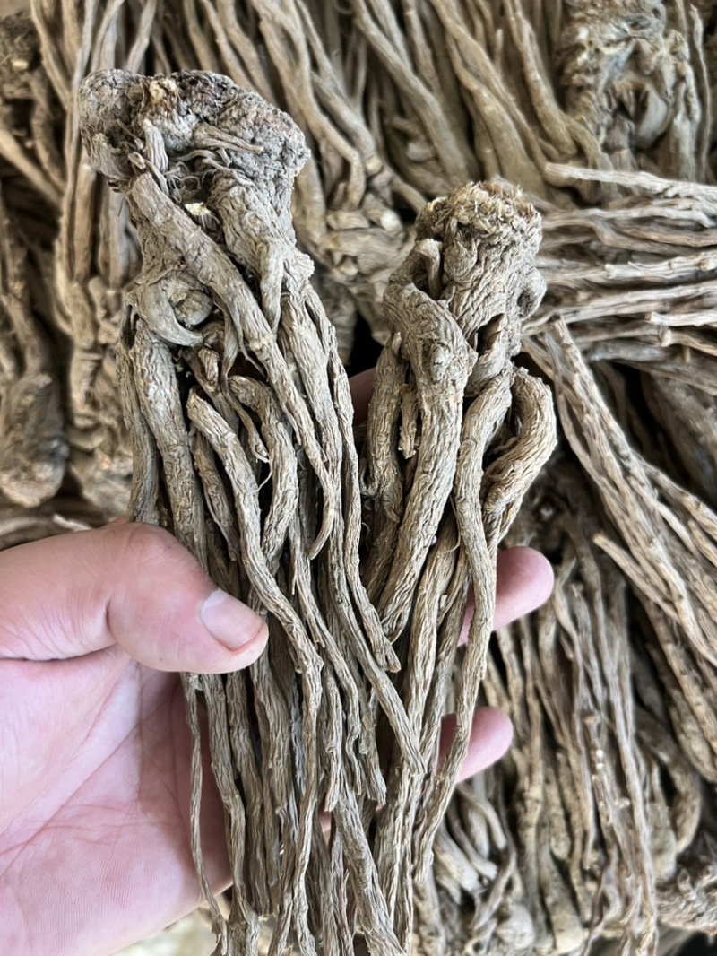 当归十支归成品，人工修剪，精品货
