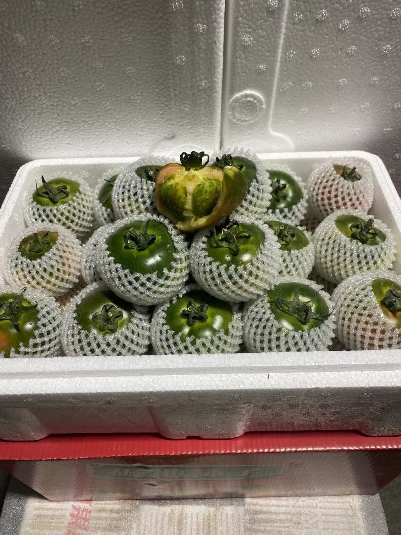 铁皮柿子绿腚柿子草莓柿子