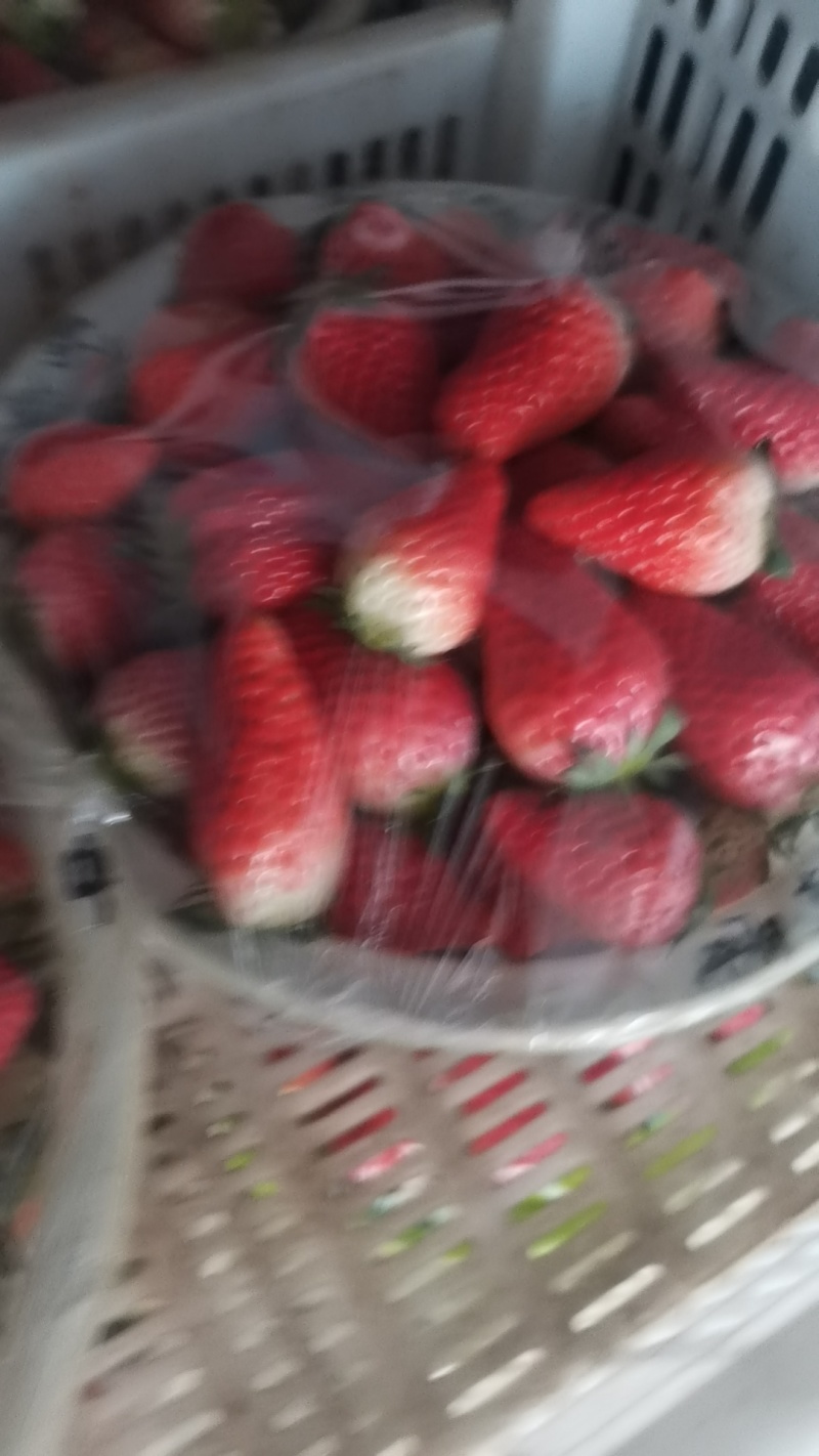 甜宝草莓产地直供，保证质量