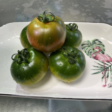 铁皮柿子绿腚柿子草莓柿子