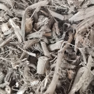 陆英，八棱麻，筋骨草野生中药材，可以加工各种规格