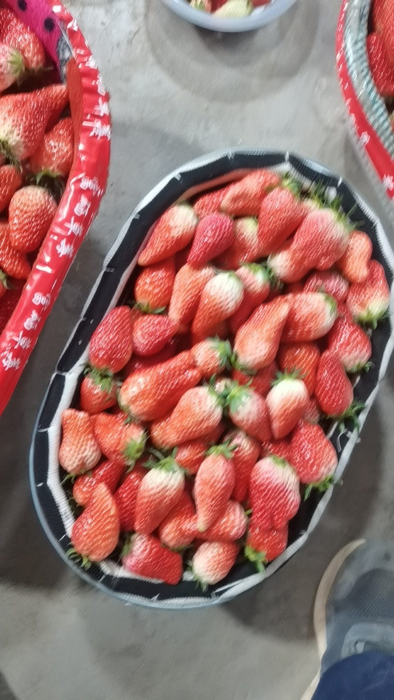 山东沂源甜宝草莓保证质量，产地直供