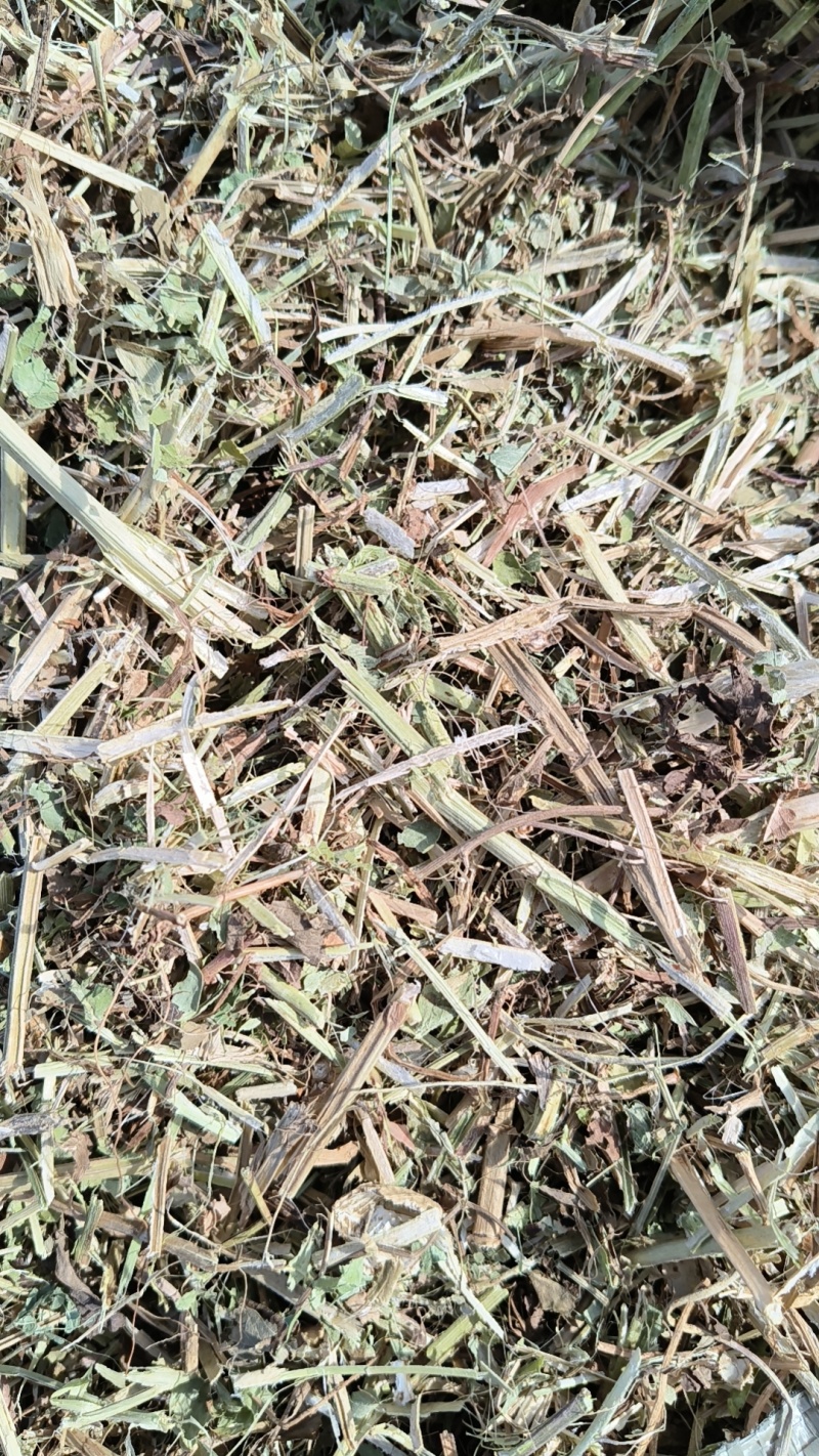 花生秧羊草出售