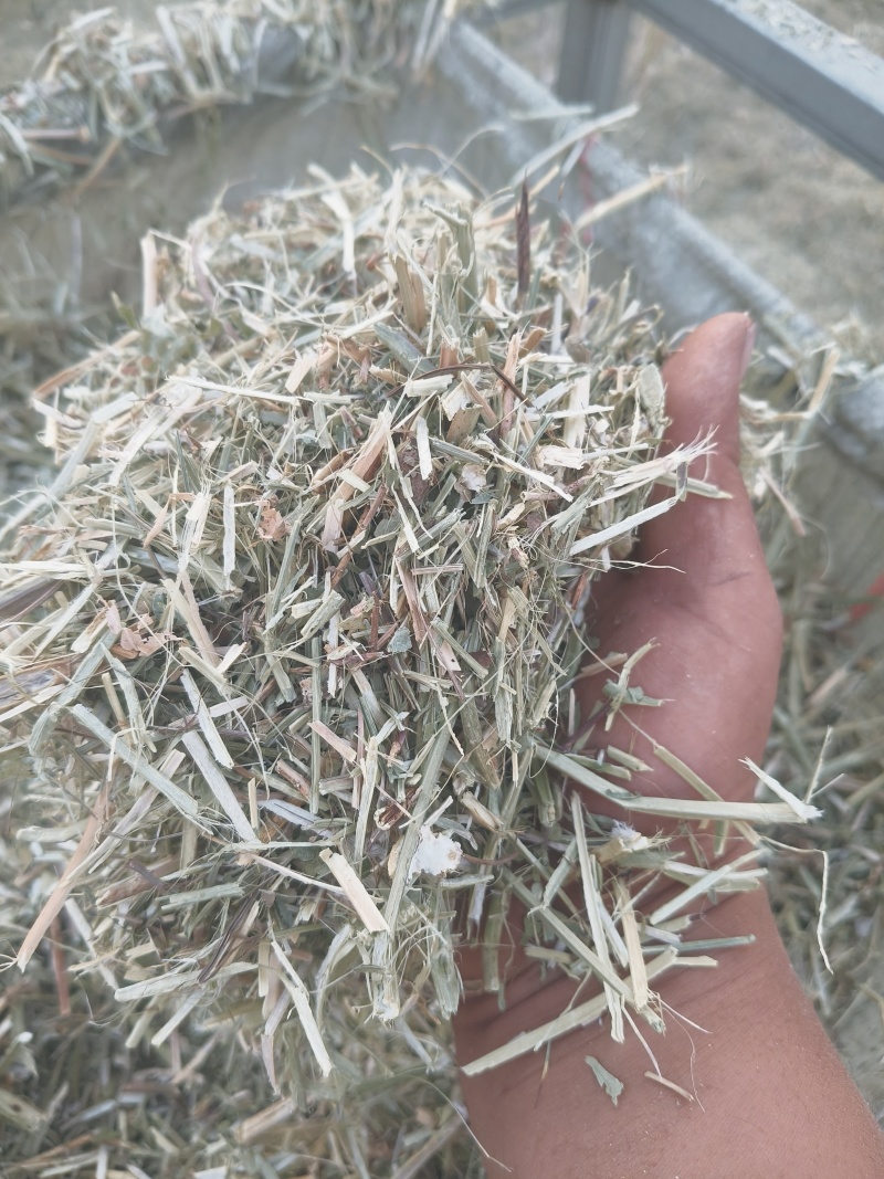 花生秧羊草出售