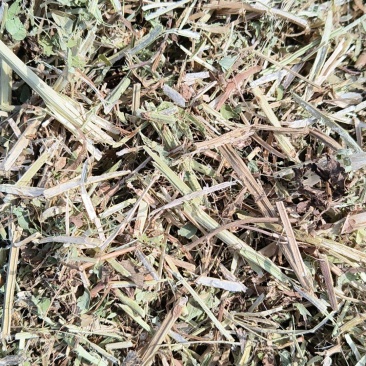 花生秧羊草出售