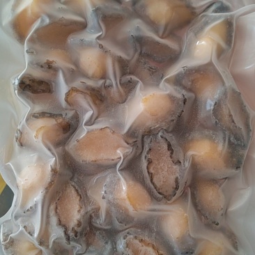 多规格鲍鱼肉，大量有货。欢迎新老客户前来合作