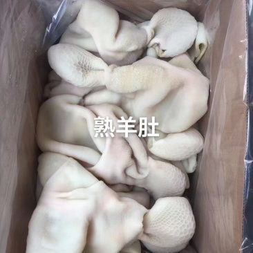 羊肚熟羊肚白羊肚黑羊肚羊杂羊肠羊内脏羊副产品现货供应