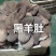 羊肚熟羊肚白羊肚黑羊肚羊杂羊肠羊内脏羊副产品现货供应