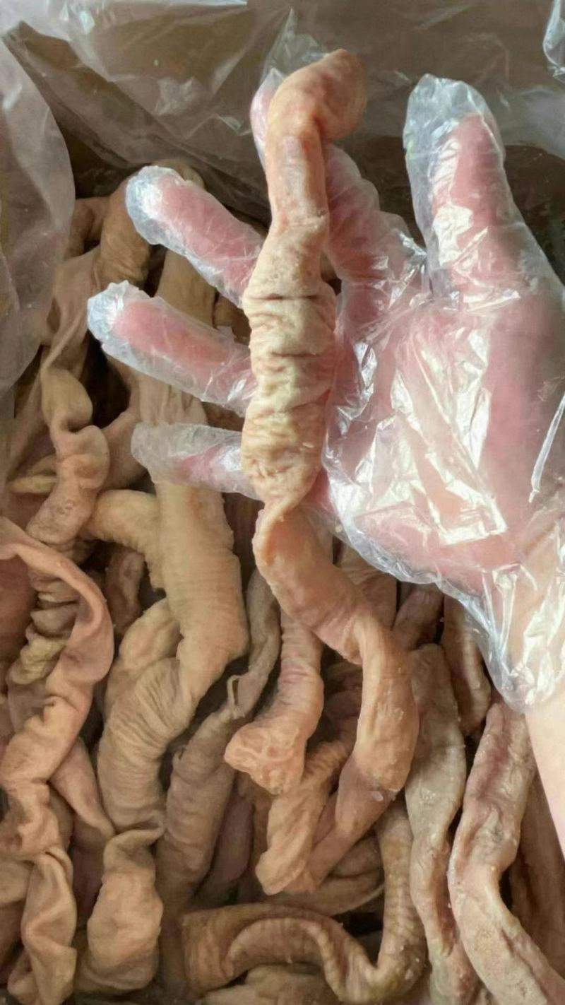 牛肠熟牛肠牛大肠牛小肠牛副产品牛内脏现货供应