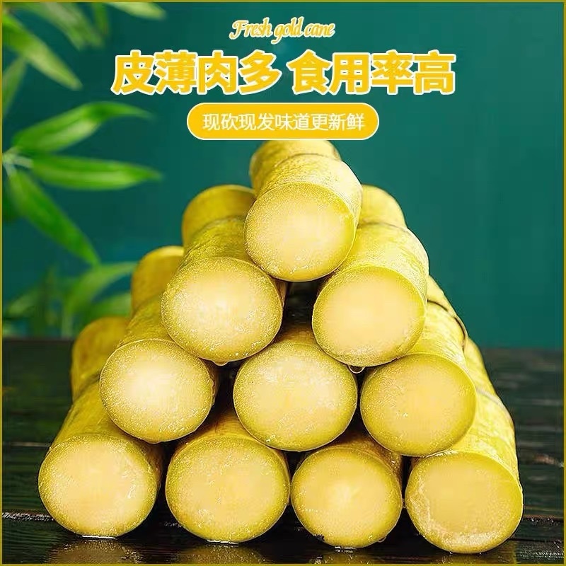 甘蔗黄金甘蔗批发，云南黄金甘蔗