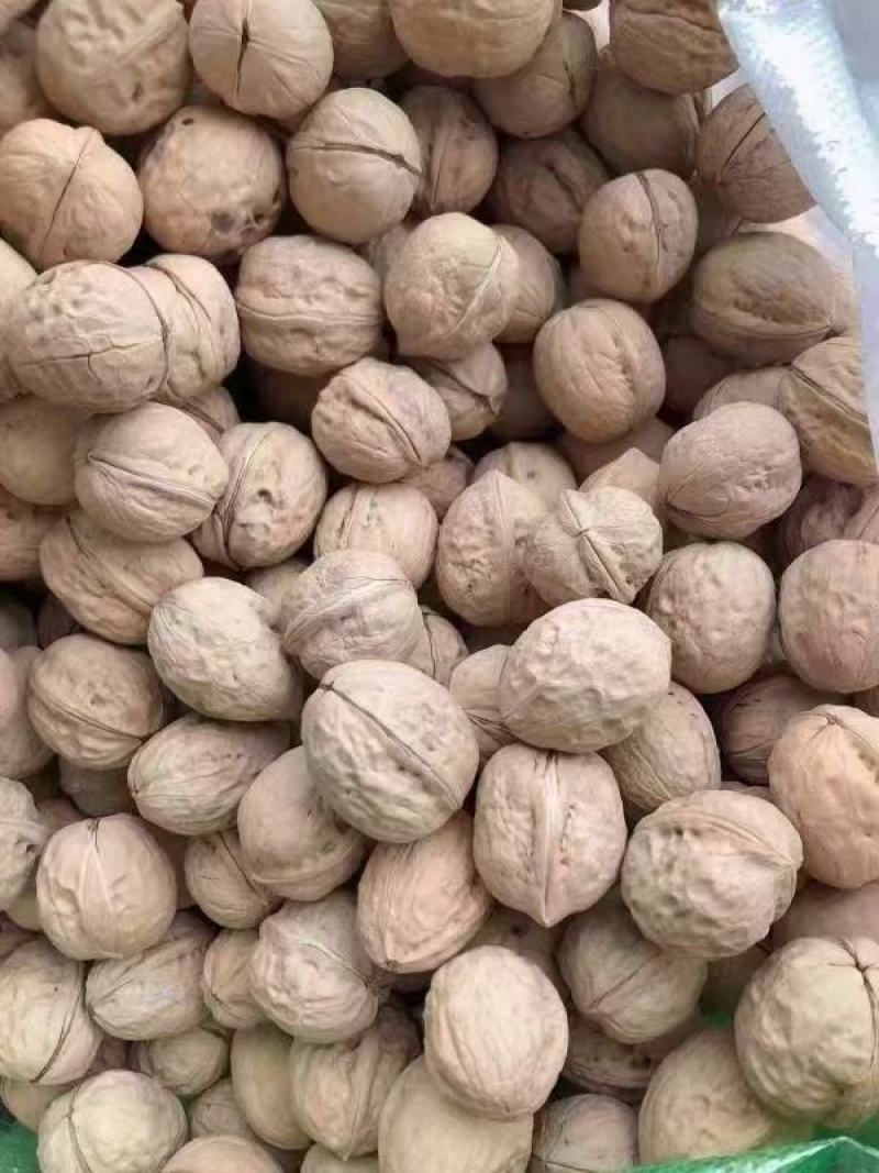 核桃坚果干核桃薄皮核桃纸皮核桃云南核桃新疆核桃大果中果