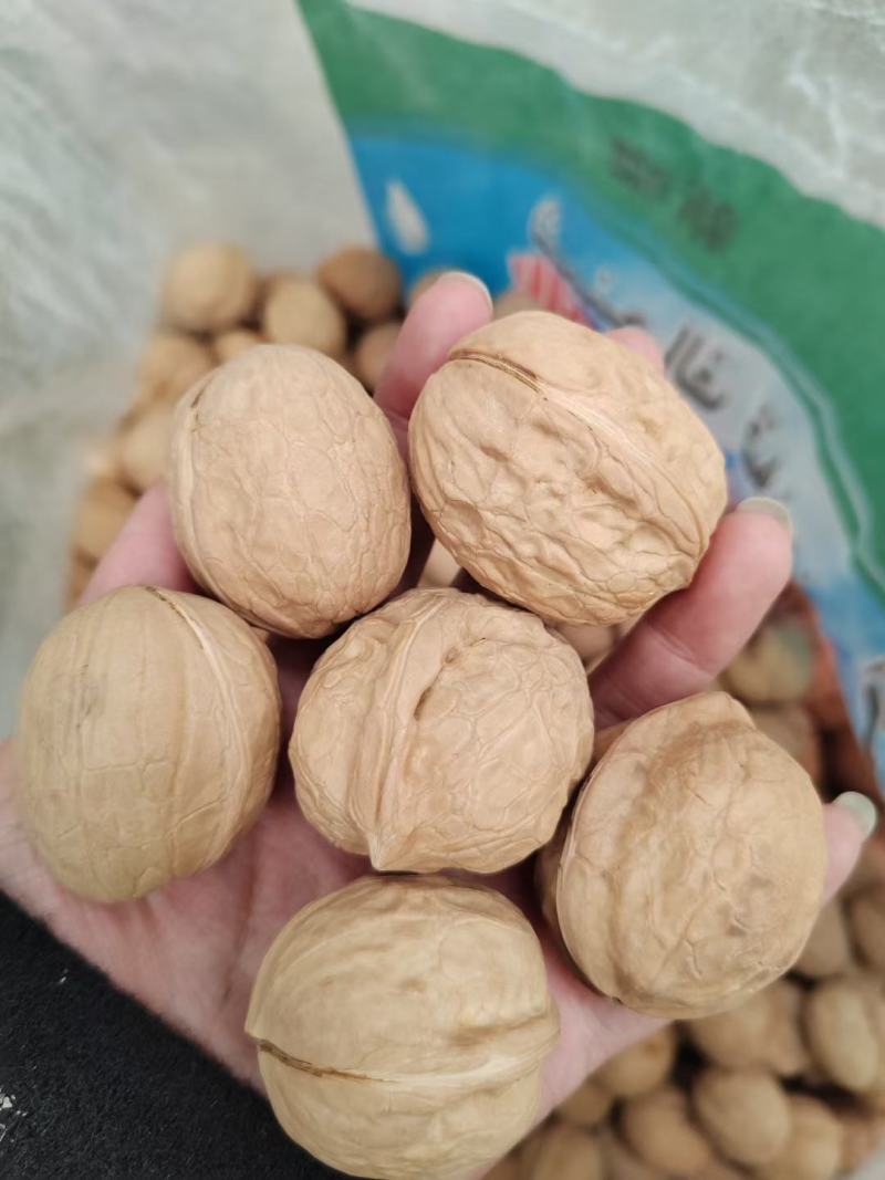 核桃坚果干核桃薄皮核桃纸皮核桃云南核桃新疆核桃大果中果