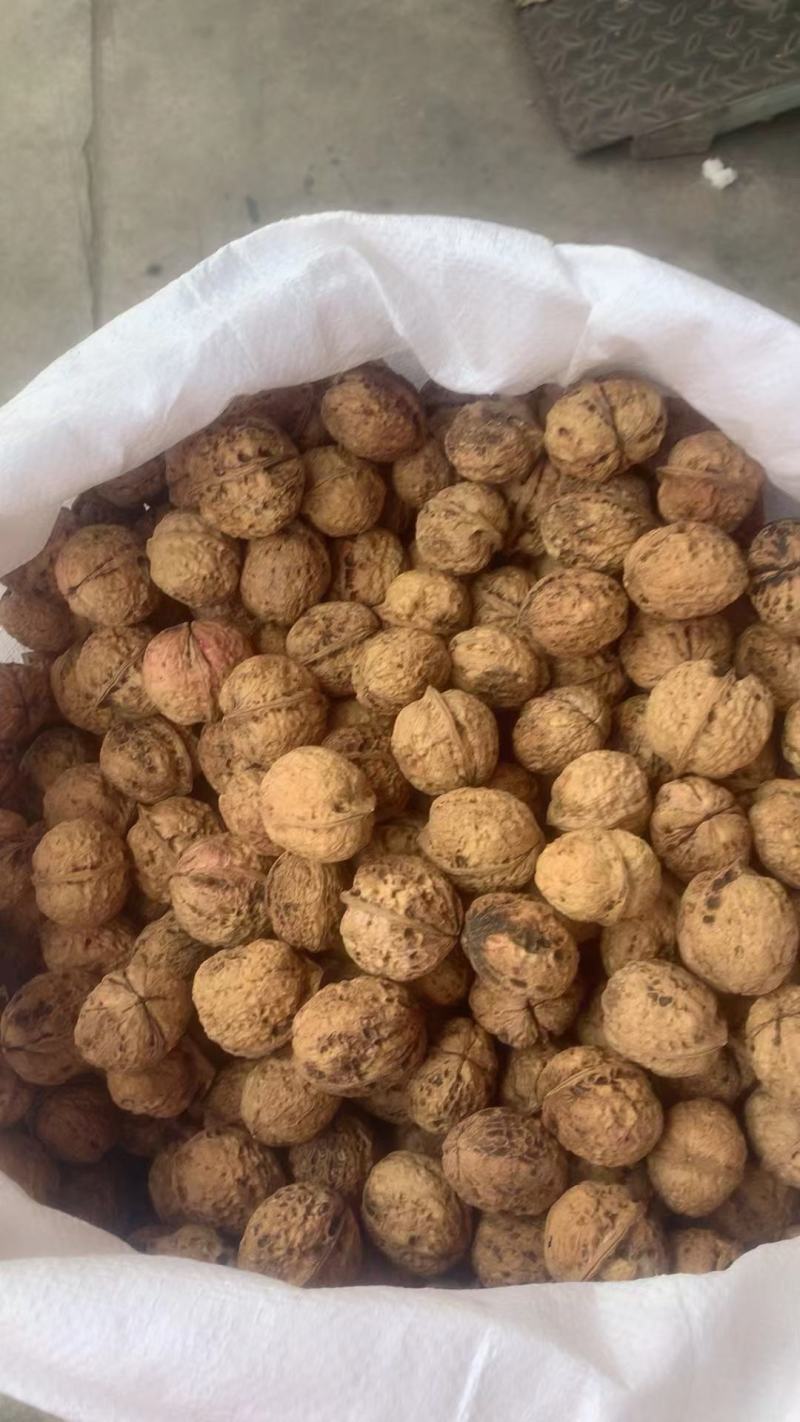 核桃坚果干核桃薄皮核桃纸皮核桃云南核桃新疆核桃大果中果
