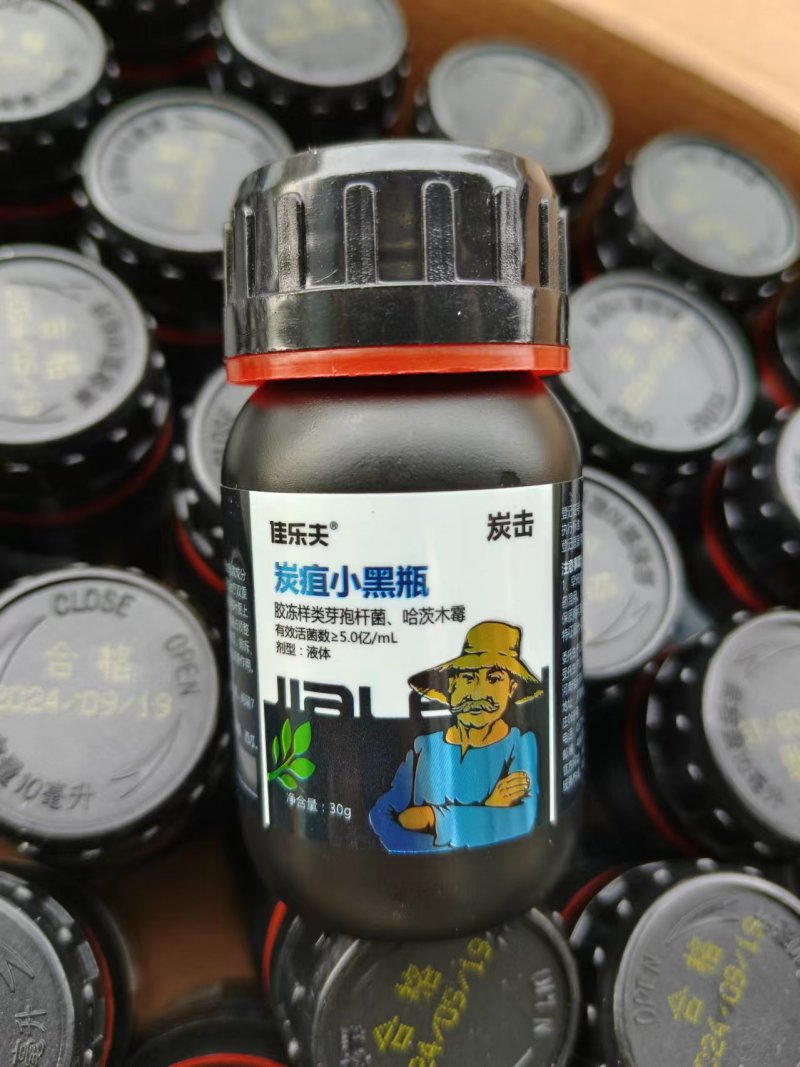 佳乐夫炭疽小黑瓶草莓辣椒西瓜芒果西红柿炭疽病生物菌防治