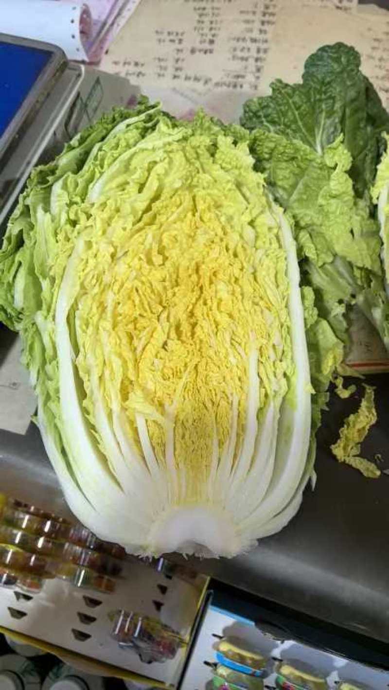 黄心大白菜丨河北大白菜丨精品大白菜丨基地直发大量供货