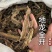 地龙地龙全开无泥实拍现货广地龙蚯蚓干干货