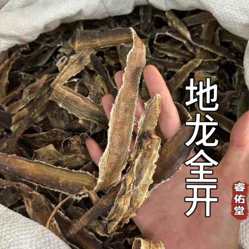 地龙地龙全开无泥实拍现货广地龙蚯蚓干干货