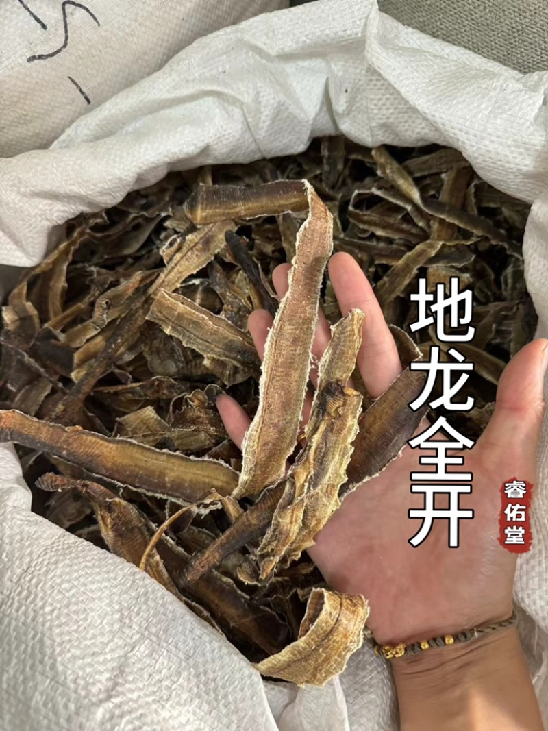 地龙地龙全开无泥实拍现货广地龙蚯蚓干干货