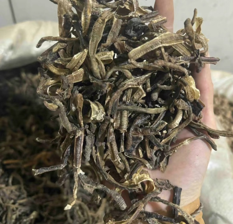 地龙地龙全开无泥实拍现货广地龙蚯蚓干干货