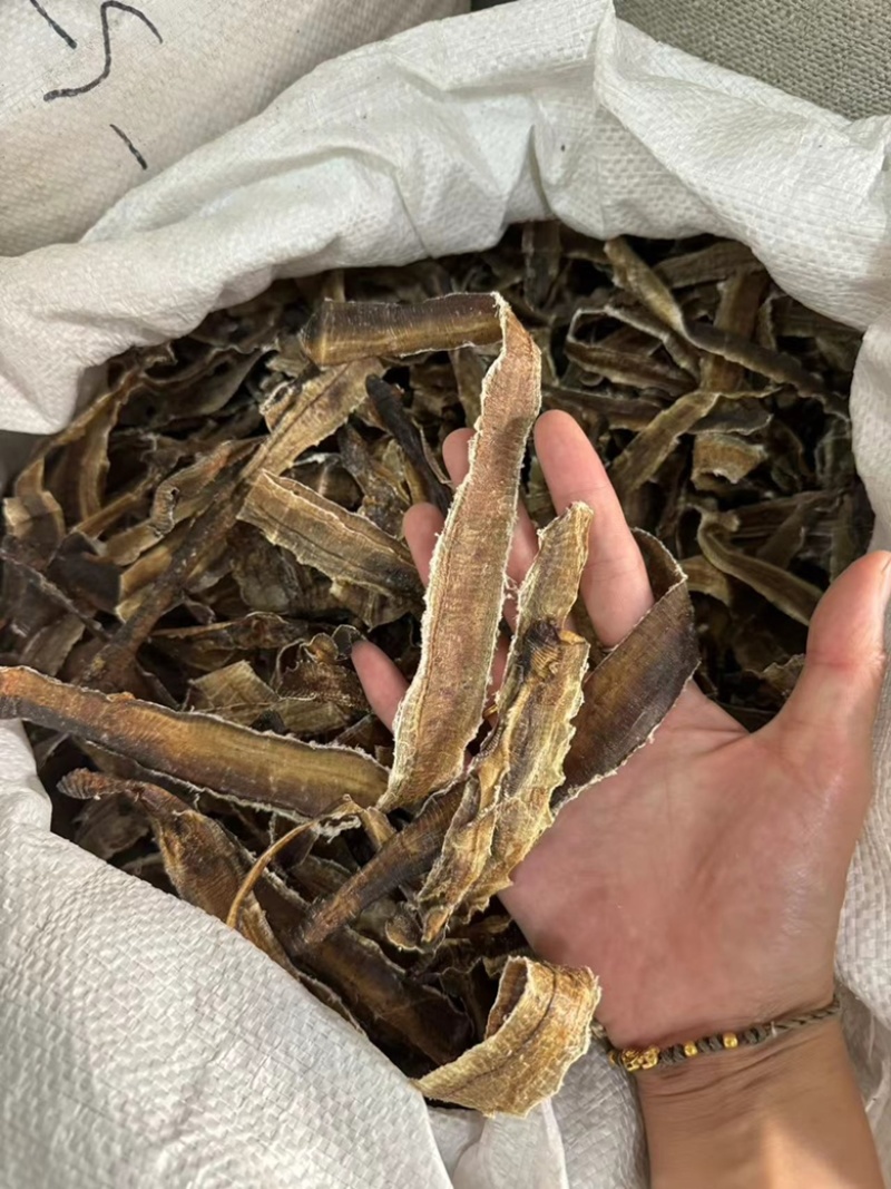 地龙地龙全开无泥实拍现货广地龙蚯蚓干干货