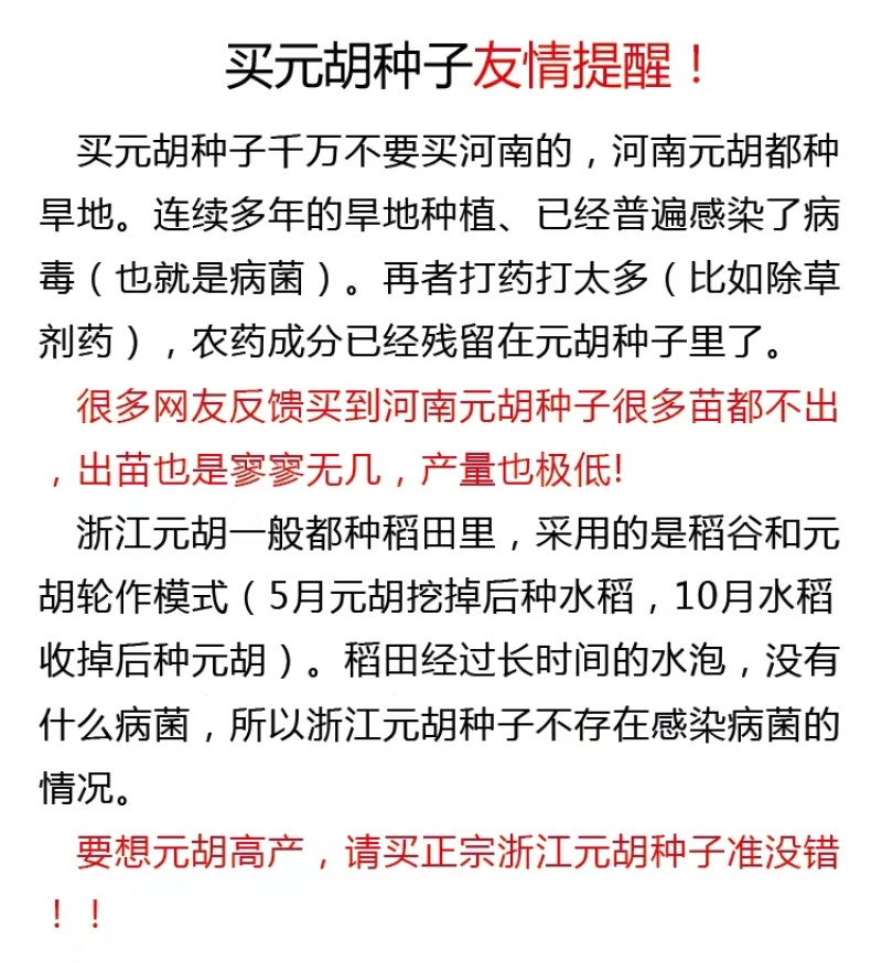 元胡种子浙江延索胡