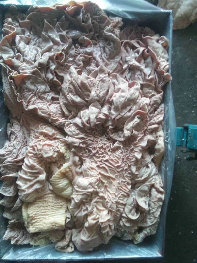 牛散带牛伞袋国产纯干牛三袋牛伞肚纯清水煮牛肠