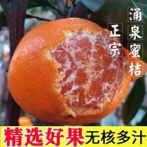 涌泉蜜桔浙江临海新鲜应季水果橘子批发薄皮孕妇桔子蜜橘