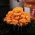 海胆肉海胆黄海胆商用海鲜水产拌饭炒饭日料寿司刺身非纯肉