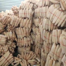 丝瓜络46一斤50斤起批