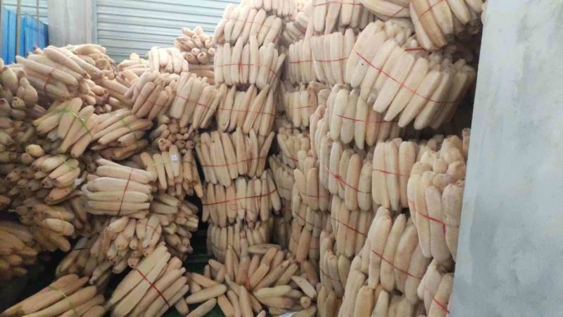 丝瓜络46一斤50斤起批