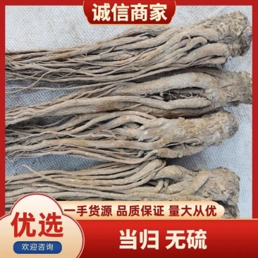 当归无硫地道当归岷县基地现货可视频看货欢迎下单
