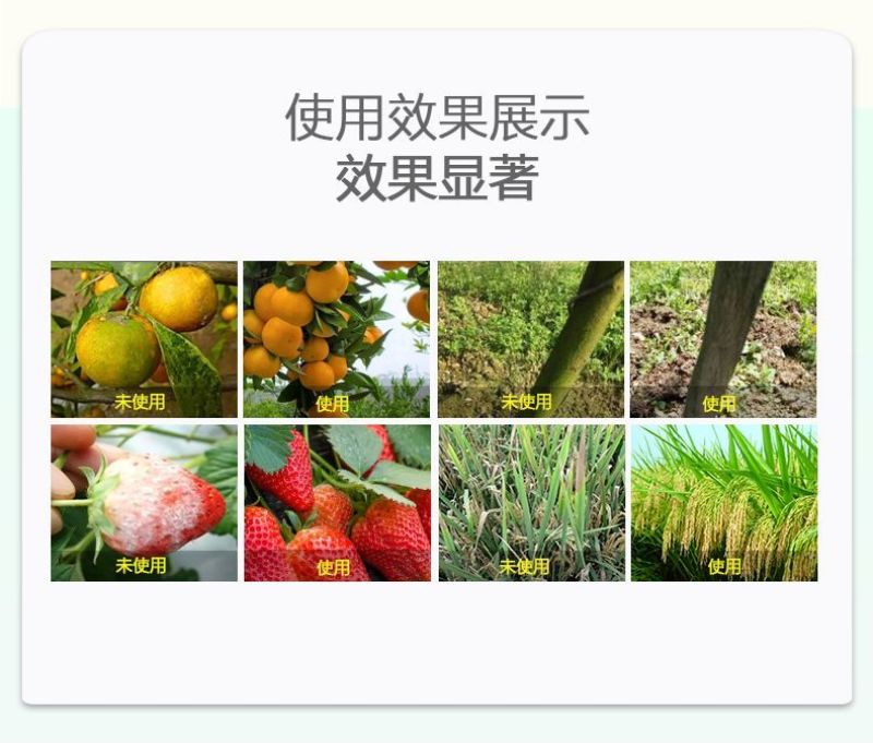 80%乙蒜素青苔病根腐病青枯病黑星病疮痂病溃疡病杀菌剂