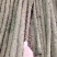 小白嘴白山药产地直发现货一手货源对接全国量大从优