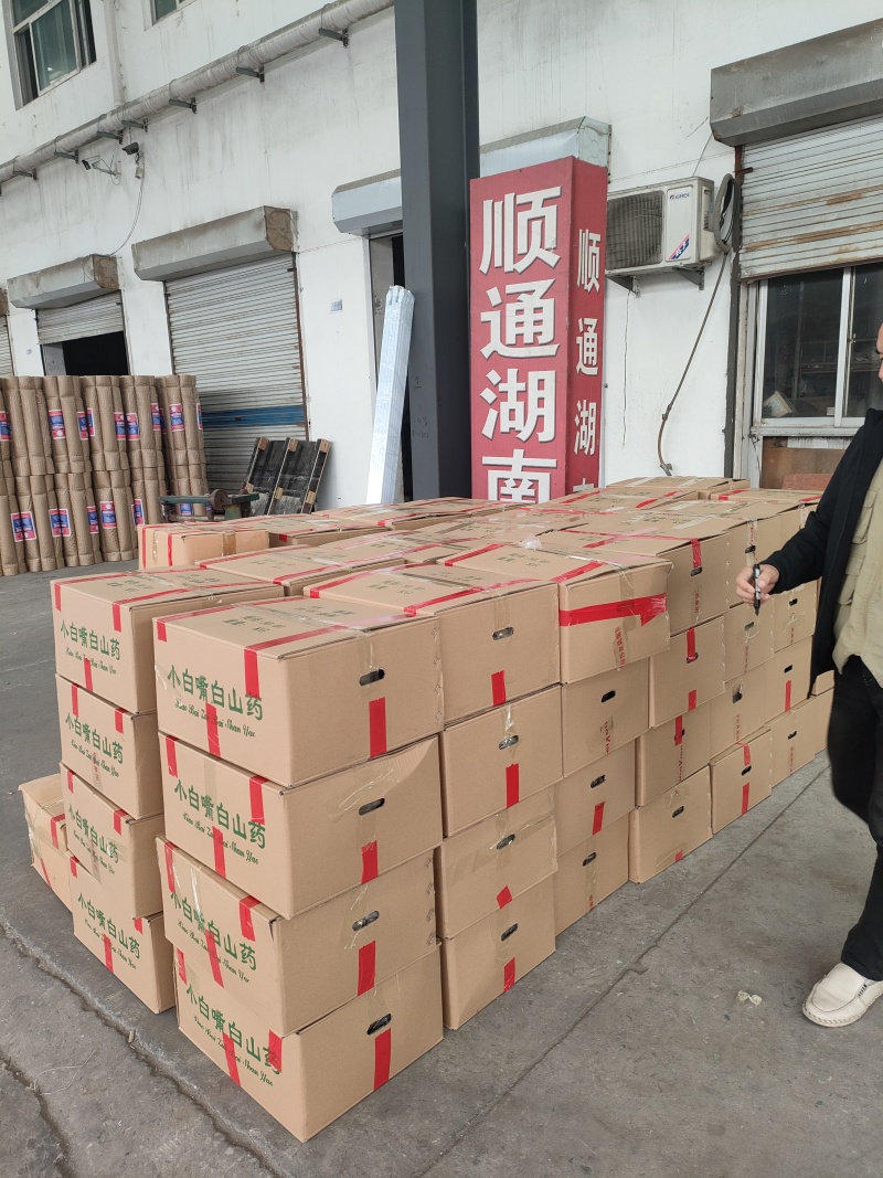 小白嘴白山药产地直发现货一手货源对接全国量大从优
