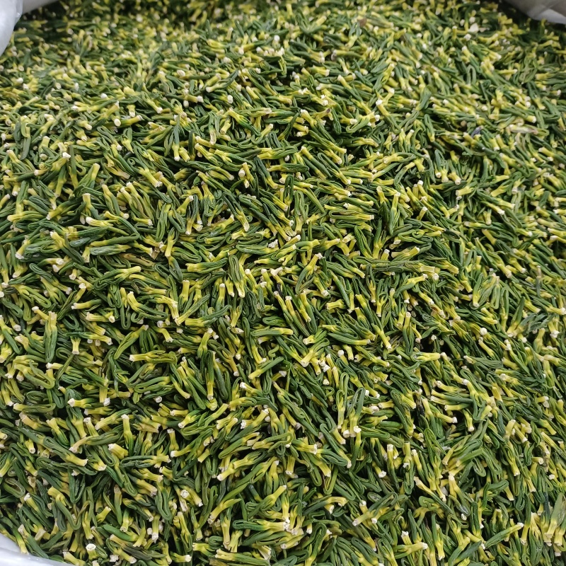 莲子心无硫新货中草药莲子心