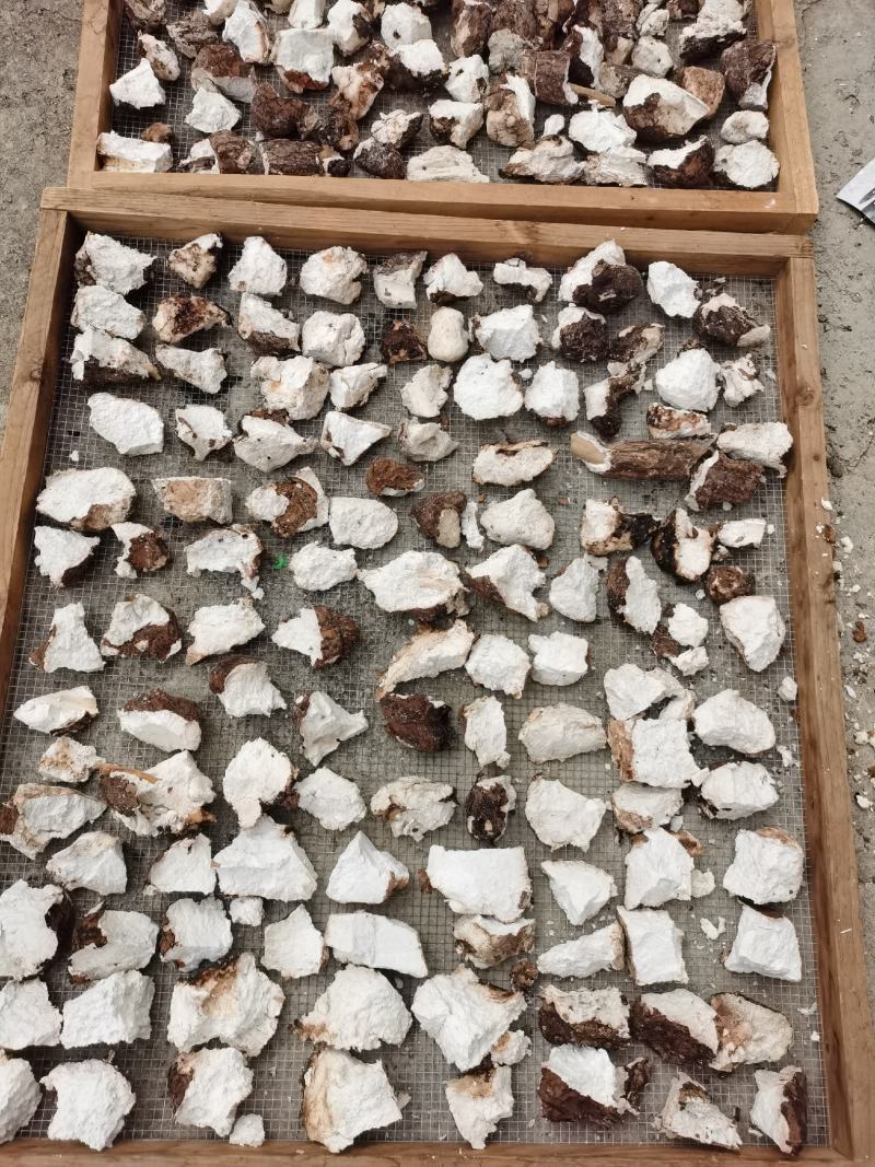 茯苓干货，10斤起批包邮，新鲜货，云南产地