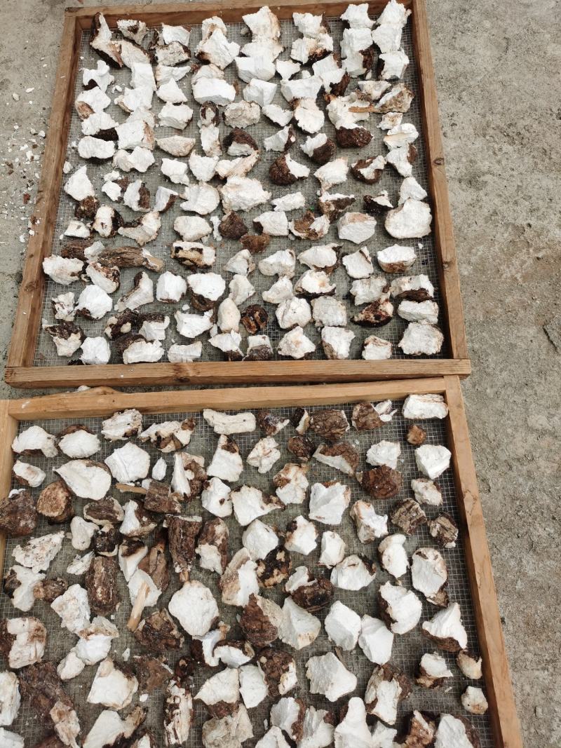 茯苓干货，10斤起批包邮，新鲜货，云南产地